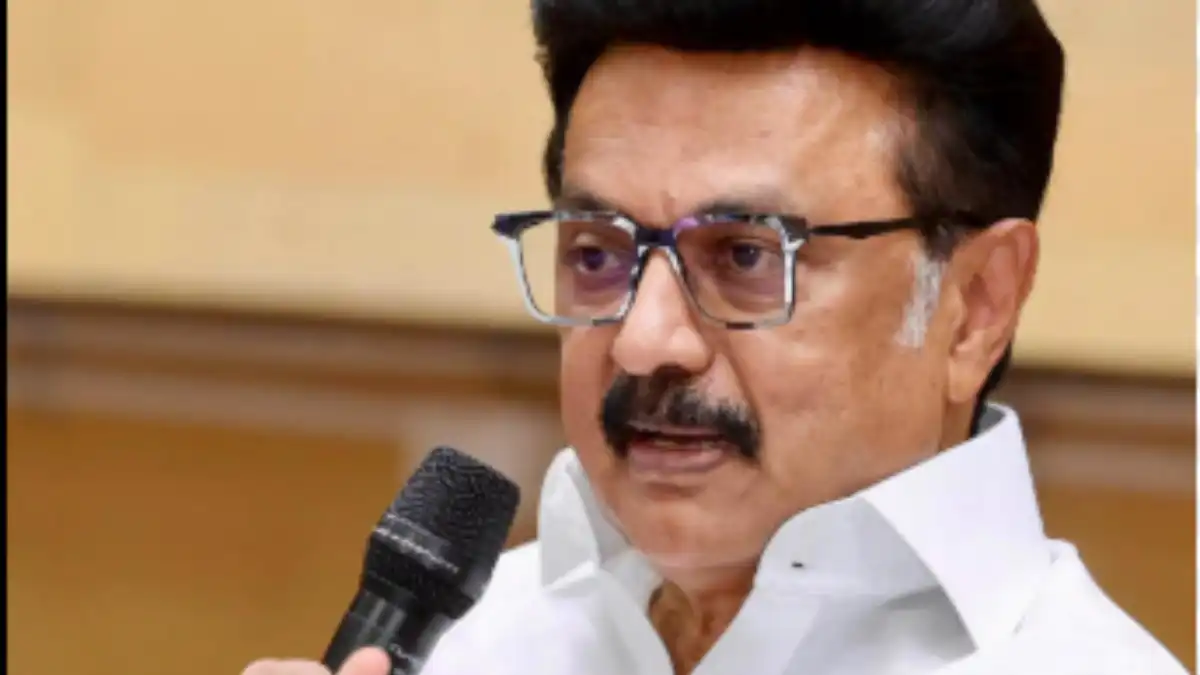 vck dmk alliance latest updates: वीसीके और डीएमके गठबंधन को लेकर आया नया लाइव अपडेट, यहाँ देखें पूरी रिपोर्ट vck dmk alliance latest updates on seat sharing and political meetings Credit photo: The Hindu