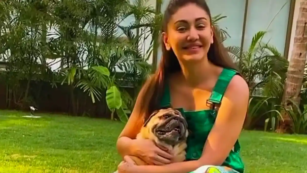 Shefali Jariwala Dog Simba Passes Away: शेफाली जरीवाला के निधन के बाद फिर टूटा पराग त्यागी पर दुखों का पहाड़, पालतू कुत्ते सिम्बा ने भी दुनिया को कहा अलविदा photo credit: @paragtyagi