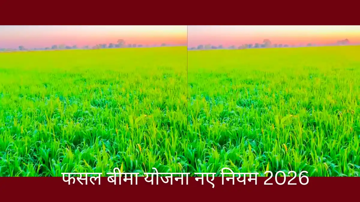 फसल बीमा योजना नए नियम 2026: जानें आवेदन की अंतिम तारीख और 2% प्रीमियम का गणित फसल बीमा योजना नए नियम 2026